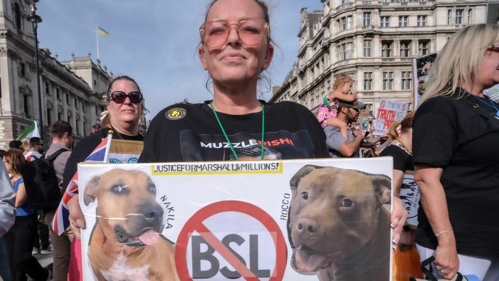 A woman holds a sign at an XL Bully protest
