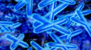 Chromosomes