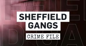Sheffield Gangs