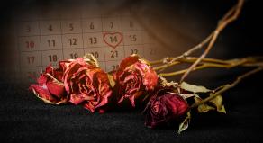 A graphic showing dead roses with a calendar in the background displaying the date '14th February'