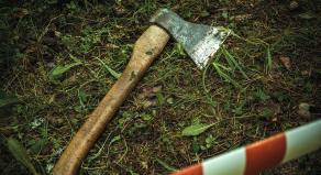 An axe lying on the ground