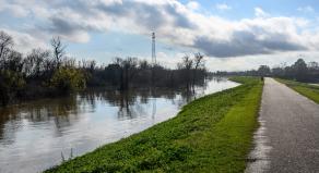 Paved bike path on top of earthen dike levee along Mississippi River in Louisiana