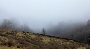 A gritty winter mist covers a woodland sided valley on high moorland