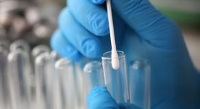 Forensic scientist wearing blue gloves puts a cotton swab inside a test tube