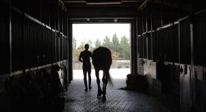 Silhouette of someone leading a horse out of the stables