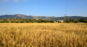 Countryside in Kos, Greece