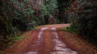 A Texas road