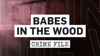 Babes in the Wood