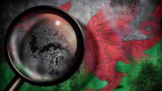 A magnifying glass graphic with the Flag of Wales in the background