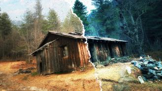 An abandoned cabin in the woods