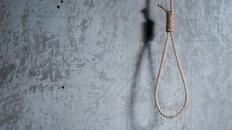 A noose