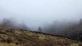 A gritty winter mist covers a woodland sided valley on high moorland