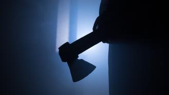 Silhouette of a woman holding an axe