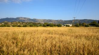 Countryside in Kos, Greece
