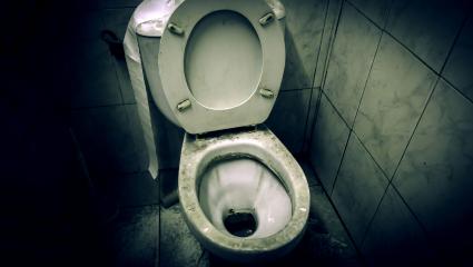 A photograph of a toilet 