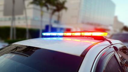 A photograph of a police car with palm trees in the background