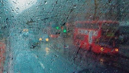 A photograph showing a view of London through the top window of a double-decker bus