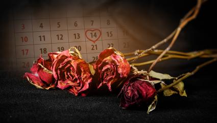 A graphic showing dead roses with a calendar in the background displaying the date '14th February'