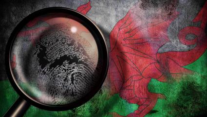 A magnifying glass graphic with the Flag of Wales in the background