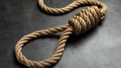 A noose
