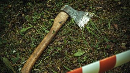 An axe lying on the ground