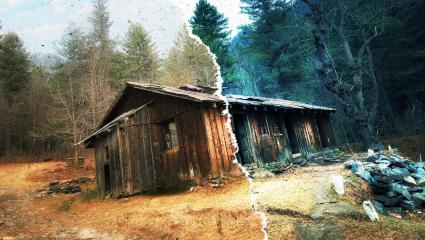 An abandoned cabin in the woods
