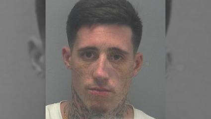 Wade Wilson police mugshot before his excessive facial tattoos