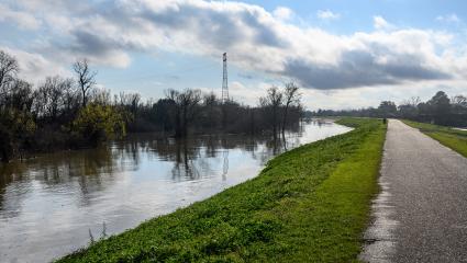 Paved bike path on top of earthen dike levee along Mississippi River in Louisiana