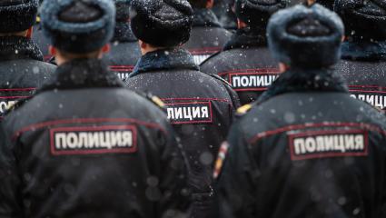 Multiple lines of Russian police officers face away from the camera as light snow falls on them