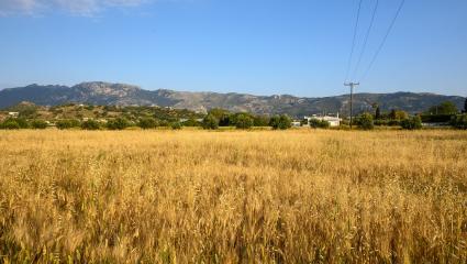Countryside in Kos, Greece