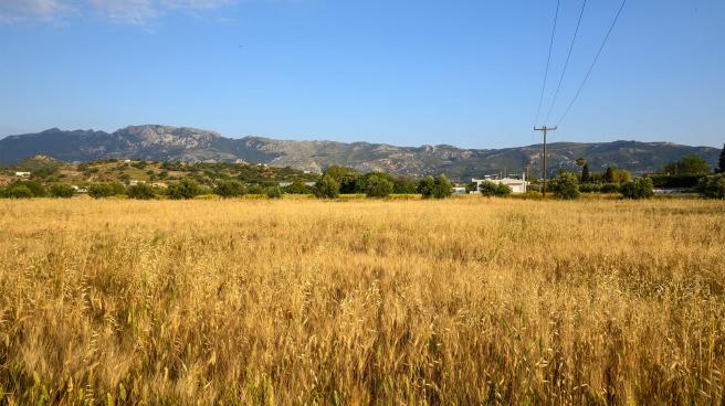 Countryside in Kos, Greece