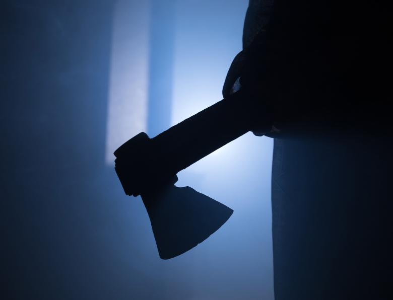 Silhouette of a woman holding an axe