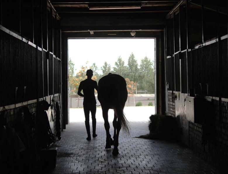 Silhouette of someone leading a horse out of the stables