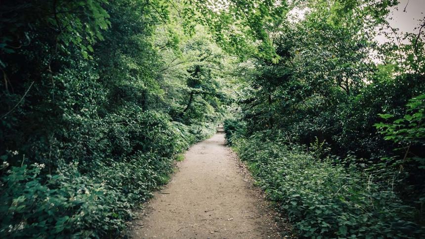 Wimbledon Common