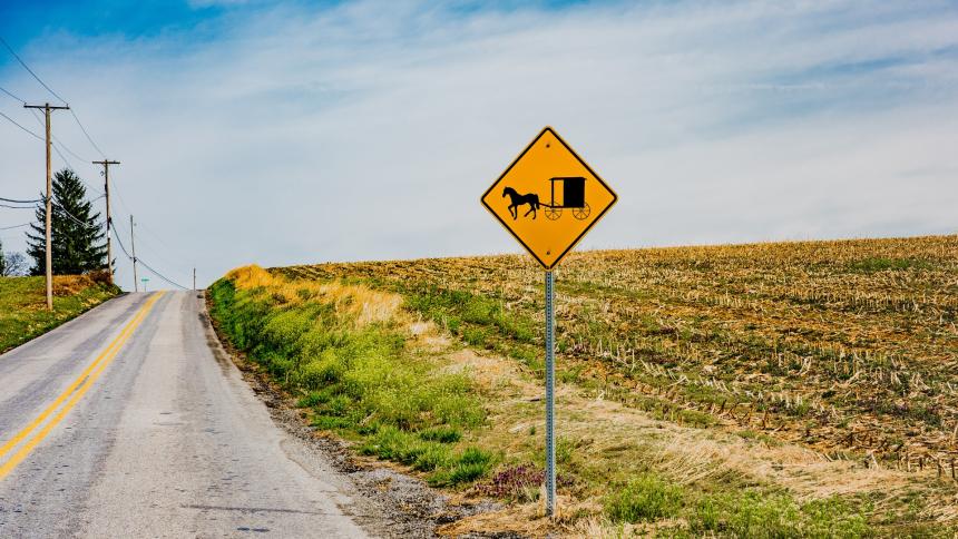 A photograph of an Amish Crossing road sign in America