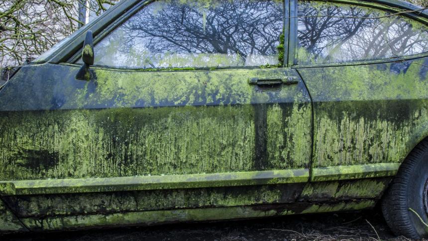 A stock photograph of an abandoned Ford Capri covered in green moss and algae.