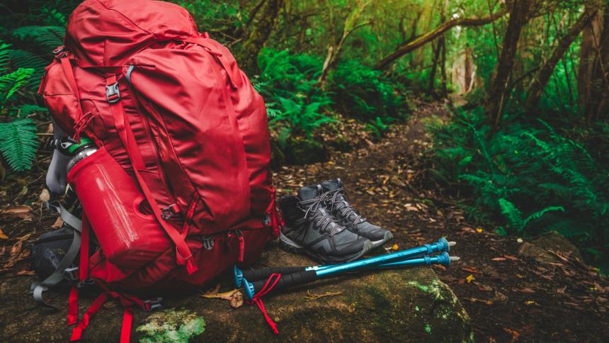 A photograph showing a red backpack in the forest