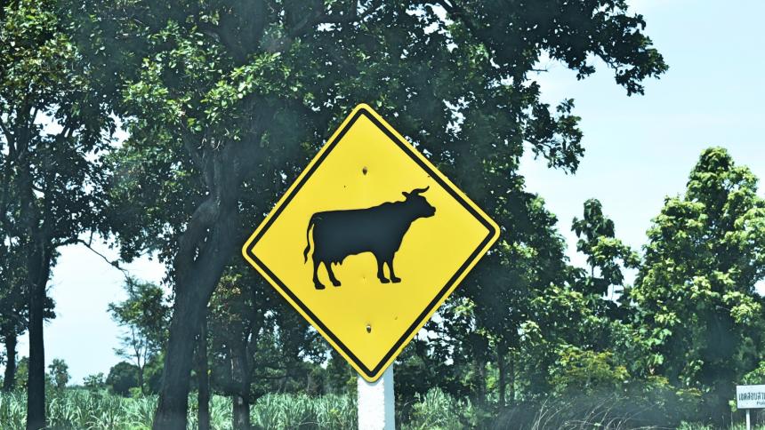 A photograph of an American farm roadsign