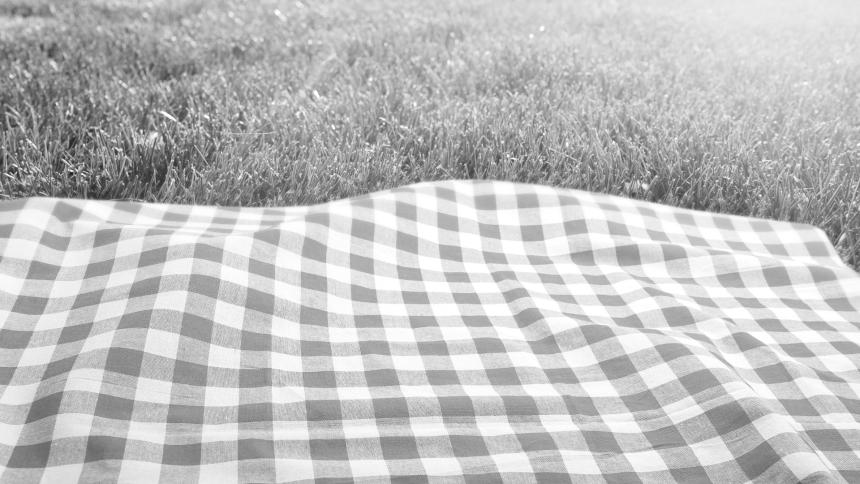 A stock image of a picnic blanket