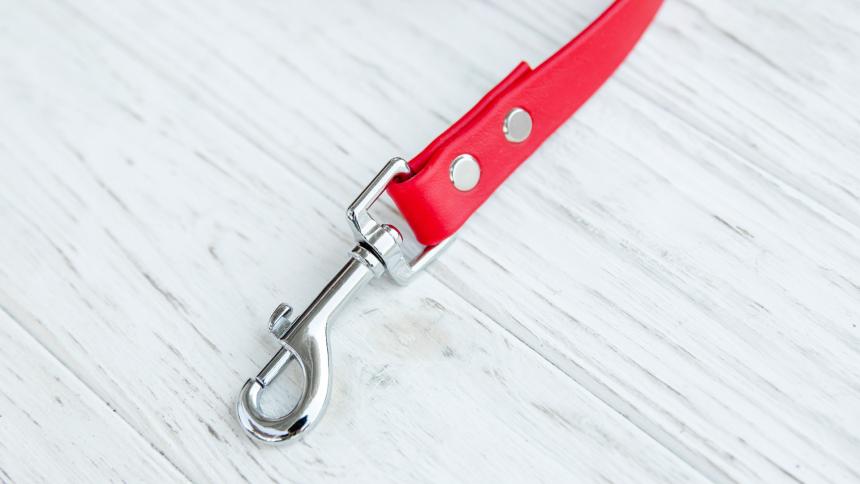 A stock image of a dog lead