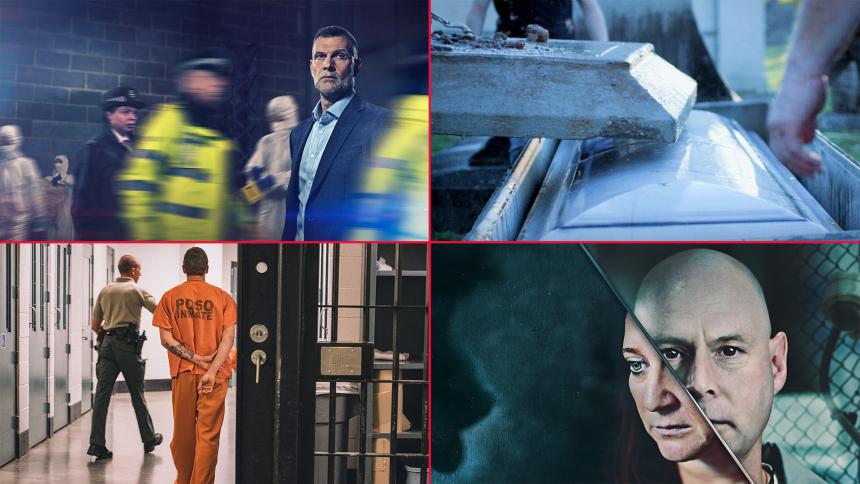 A montage of show graphics for the October highlights on Crime+Investigation