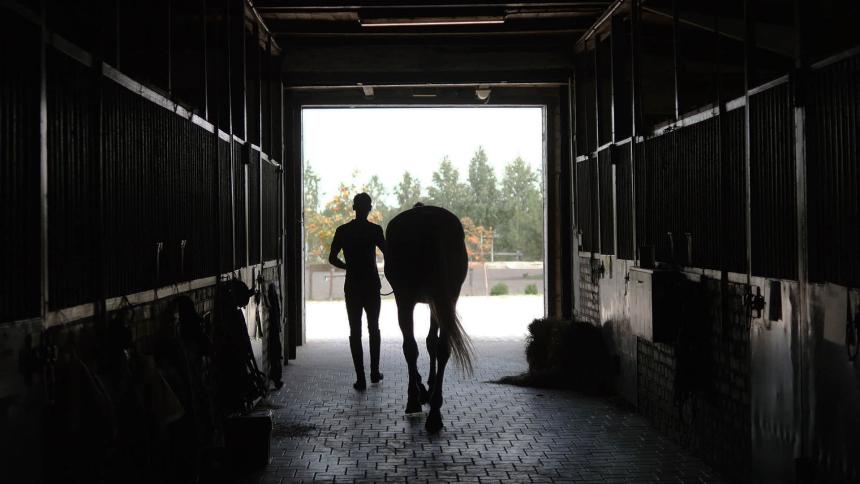 Silhouette of someone leading a horse out of the stables