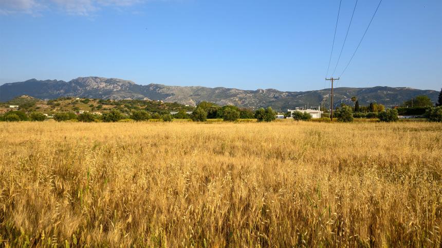 Countryside in Kos, Greece